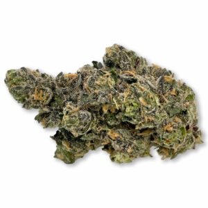 Pink Java (H)